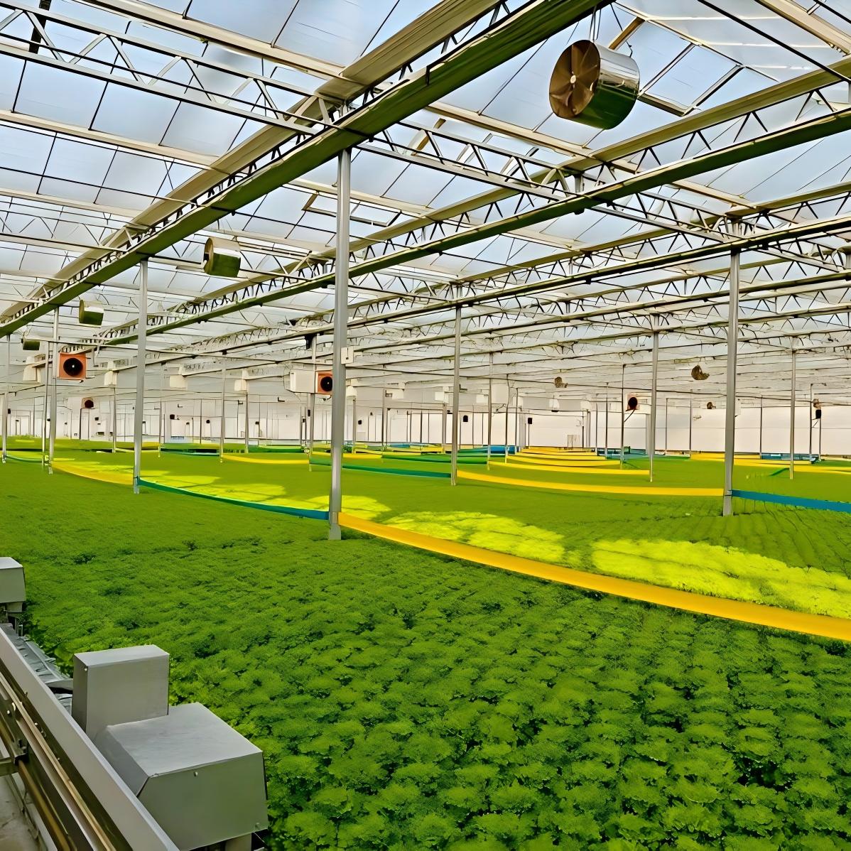 Experimental Greenhouse for Agricultural Research